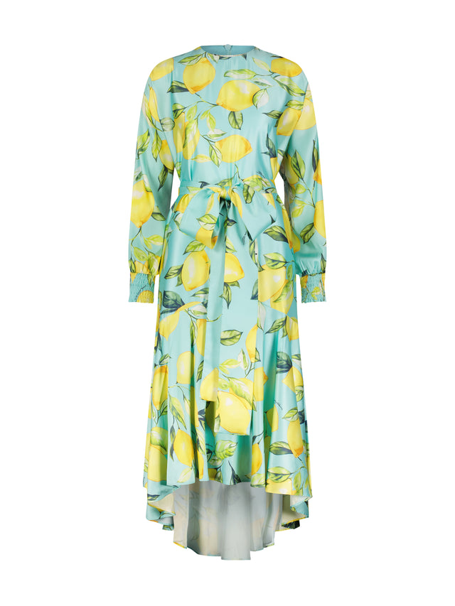 Onyx Printed Dress