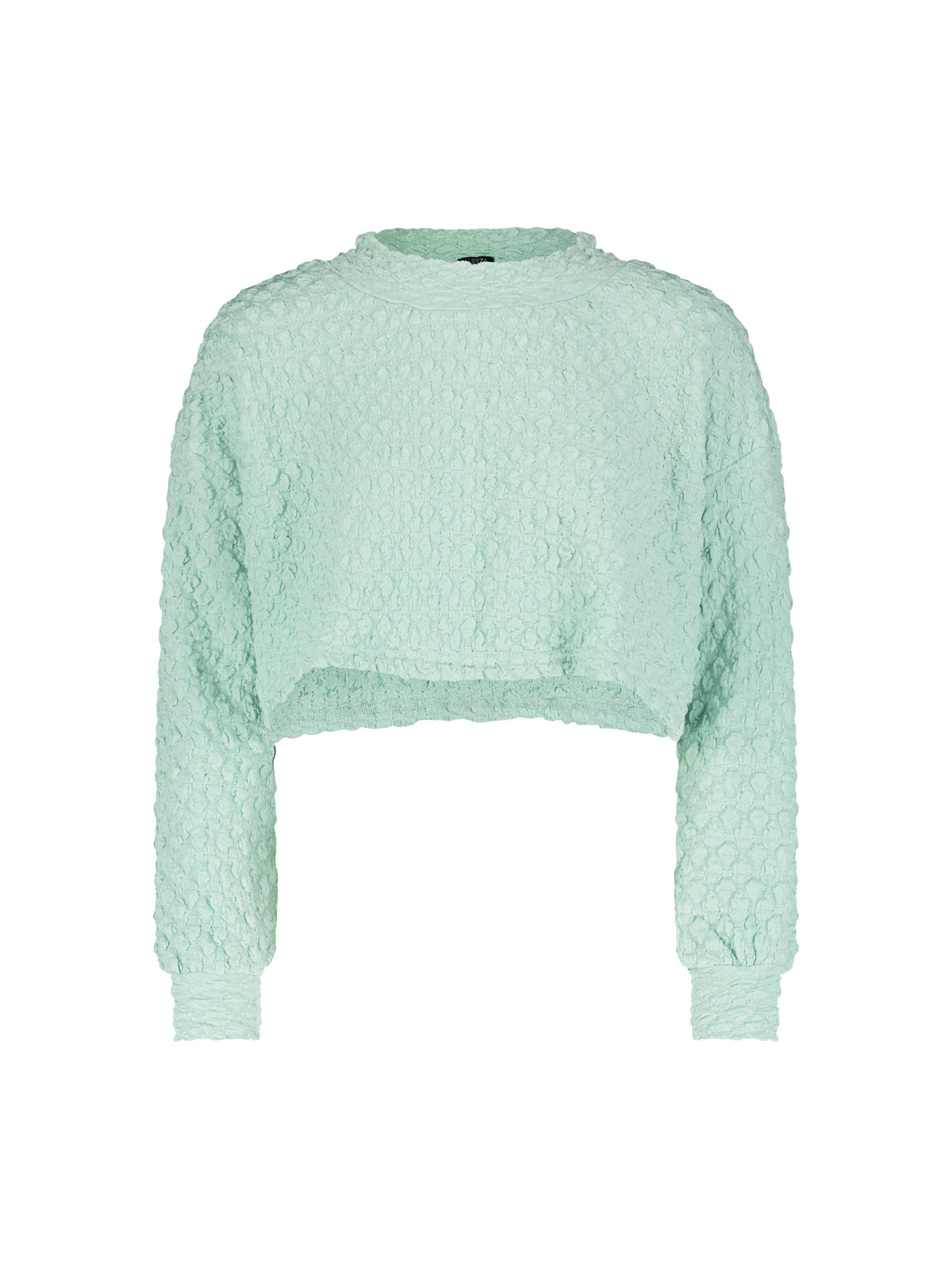 Aleeza Paris Jiffy Pop Loose Crop Top – modest top