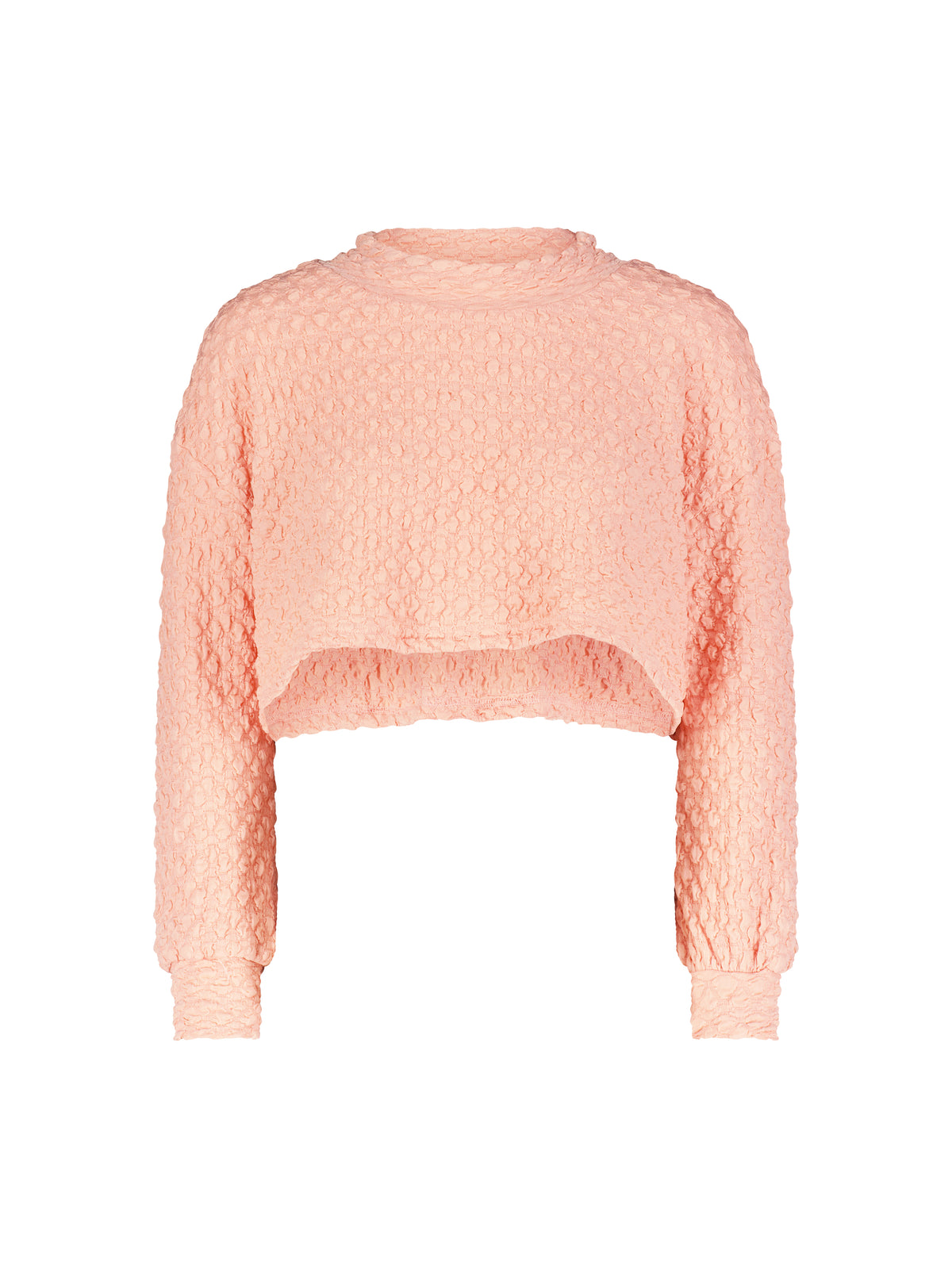 Aleeza Paris Jiffy Pop Loose Crop Top – modest top