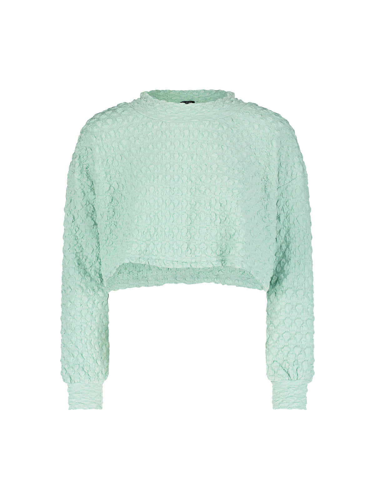 Aleeza Paris Jiffy Pop Loose Crop Top – modest top