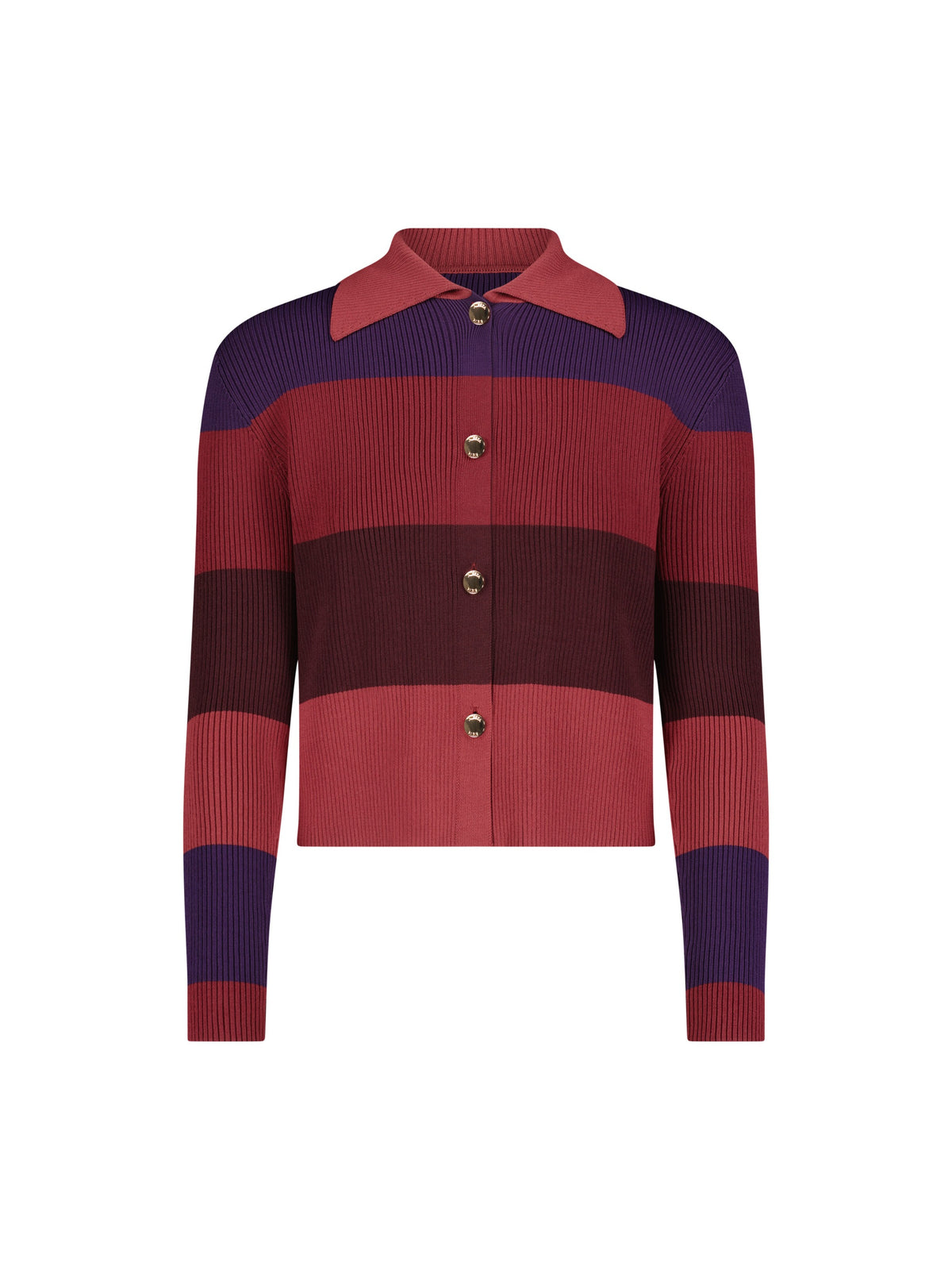 Aleeza Paris Color Block Button Up Sweater – modest top in Plum Color Tones